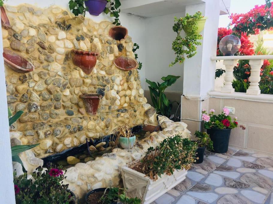 بيت العُمري Umm Qays Extérieur photo